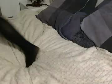 _hello_meow_