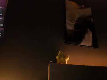 angel_andreww