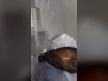 hammerdicky1