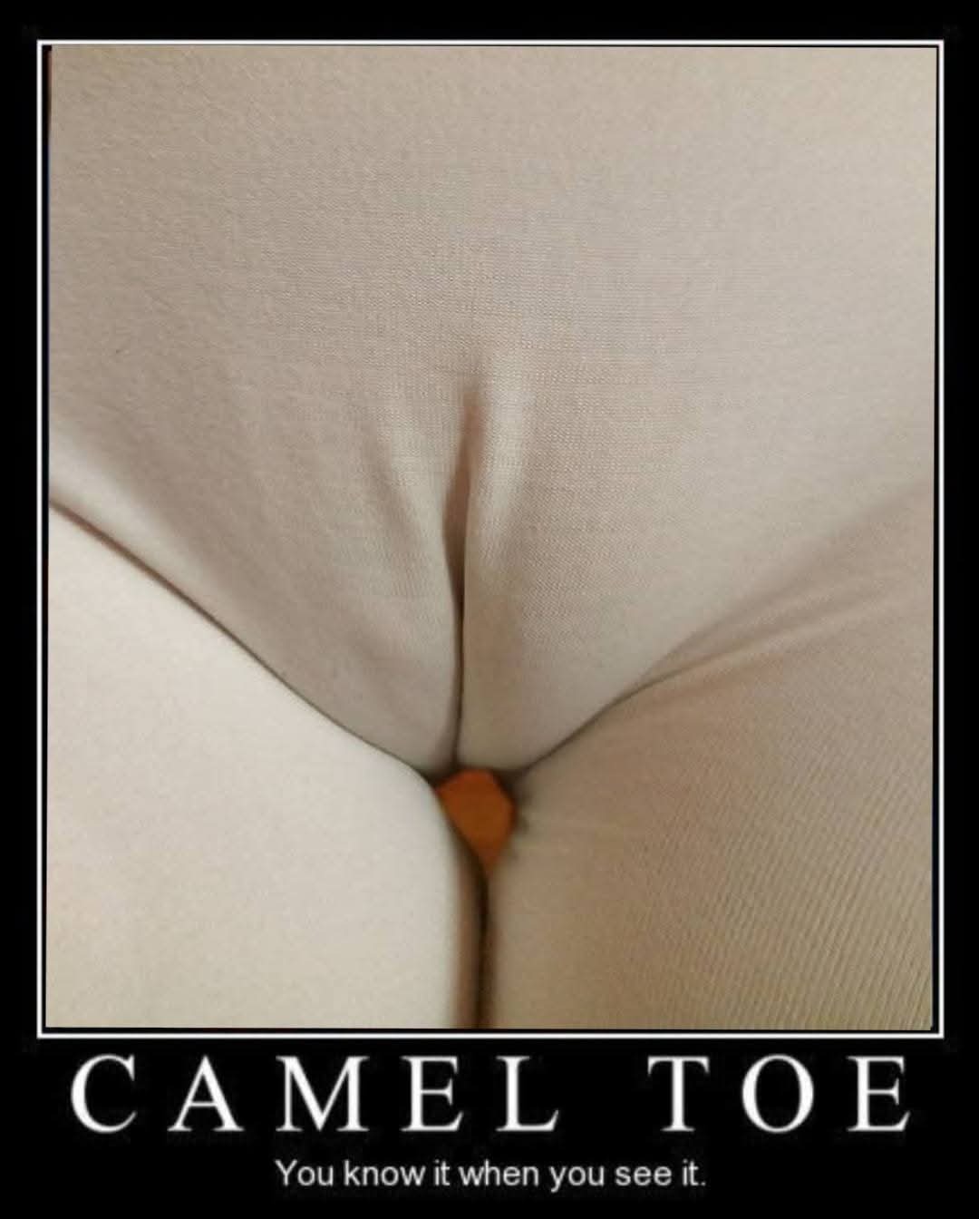 Wifes cameltoe one of the best out there. — 33