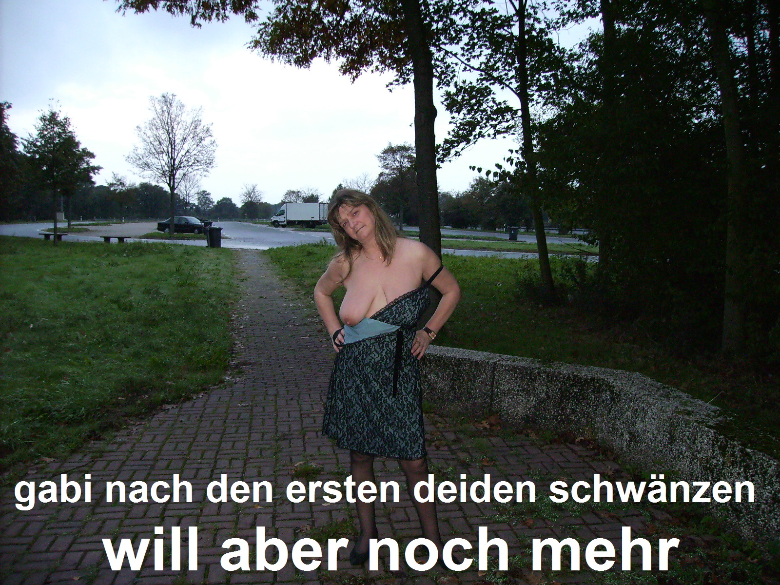 German GABI — 51