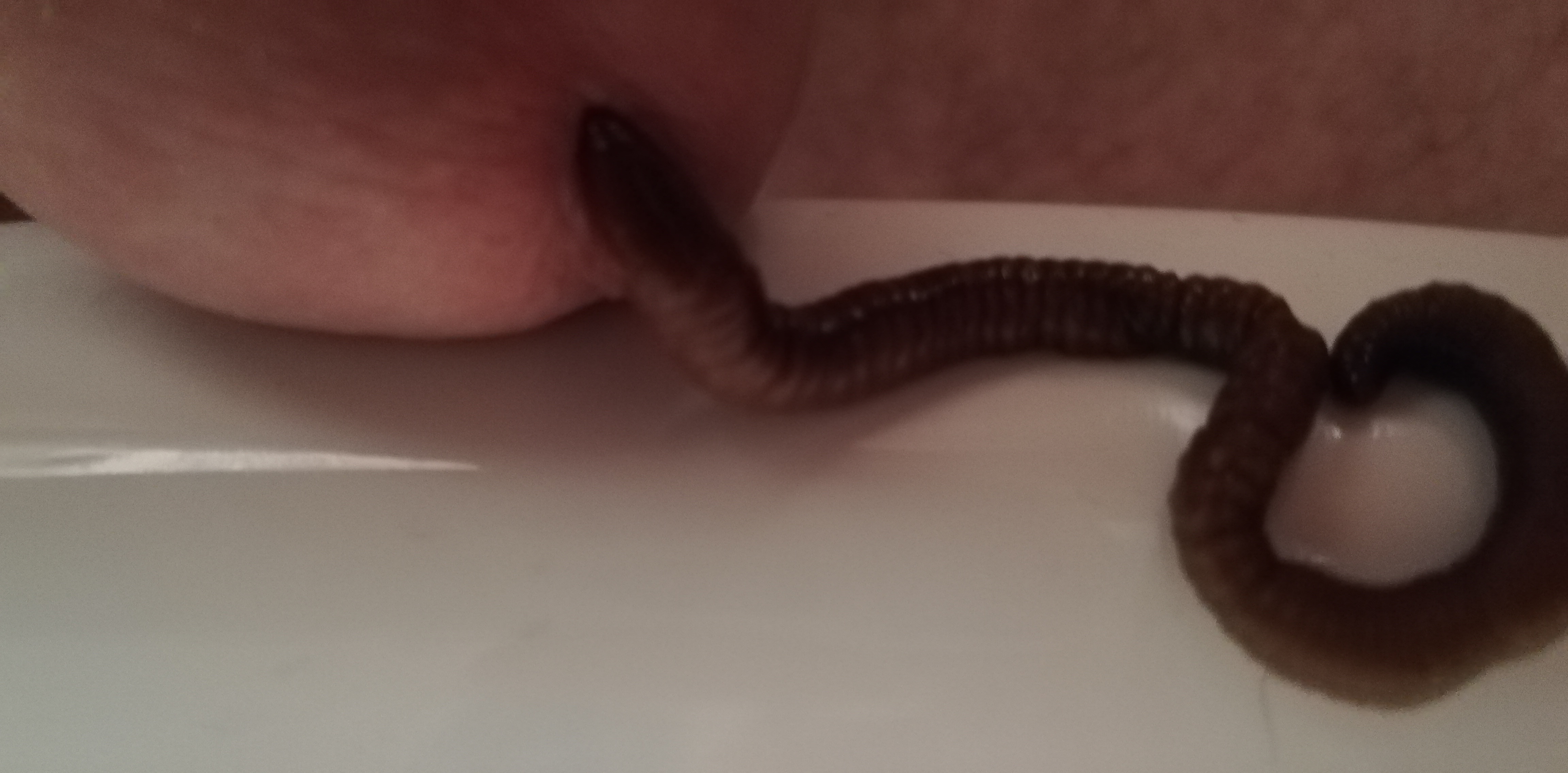 Game with worm — 15