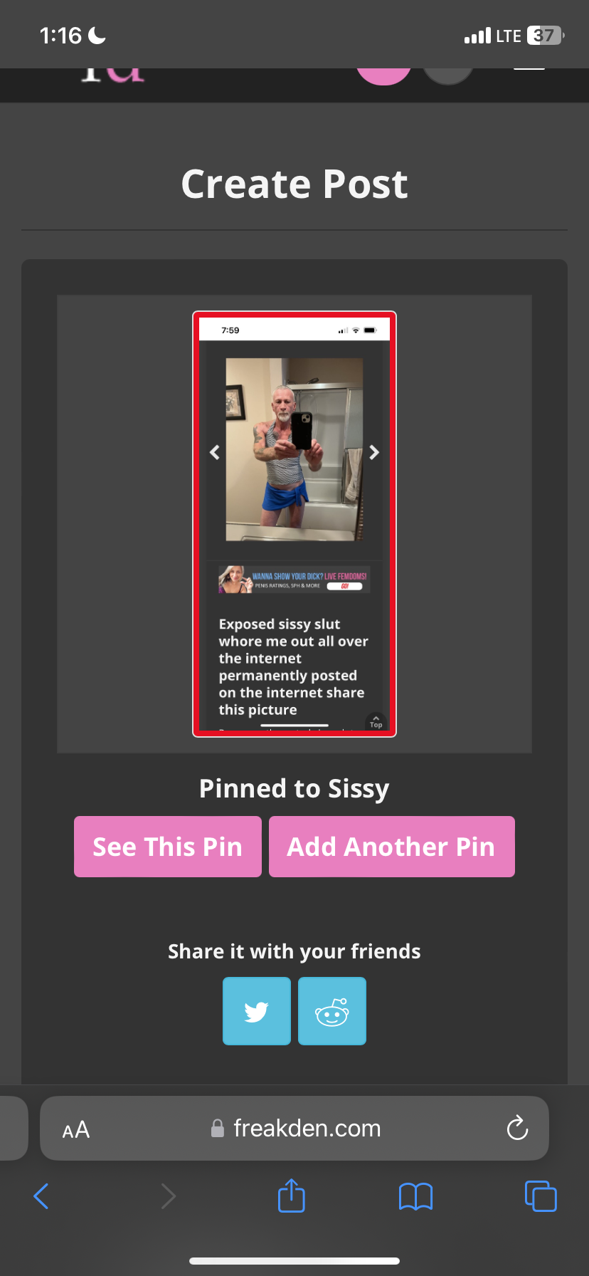 Sissy gay whore — 28