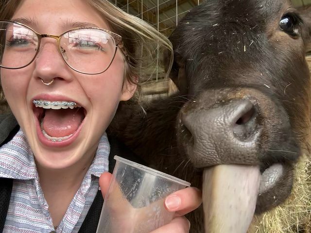 Braces — 20
