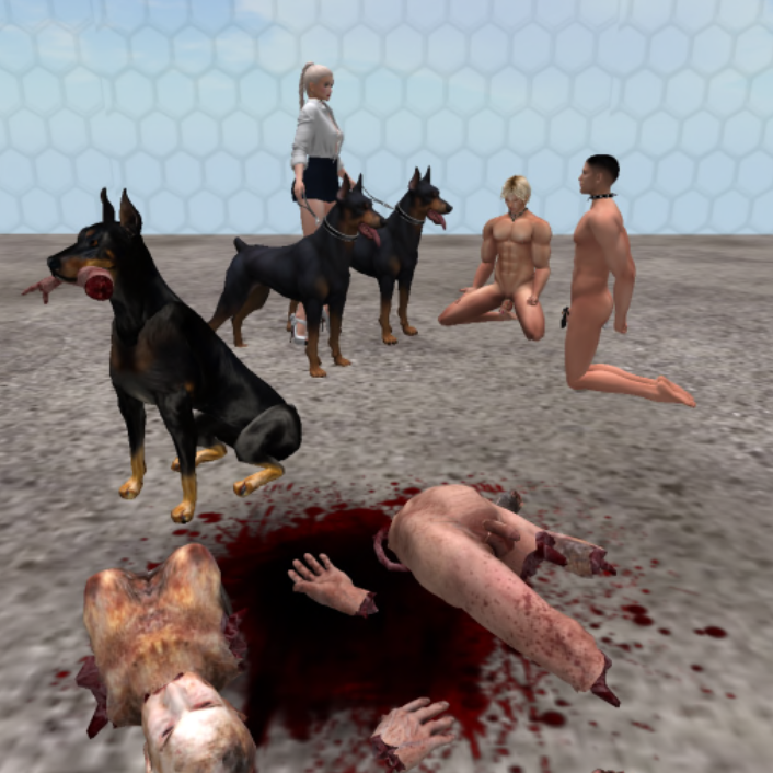 Second Life Game 2 — 15